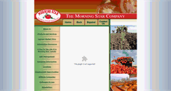 Desktop Screenshot of morningstarco.com